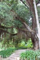 Besuch im Park Terra Nostra