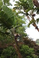 Besuch im Park Terra Nostra