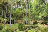 Besuch im Park Terra Nostra