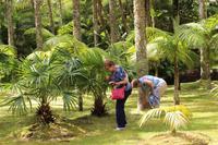 Besuch im Park Terra Nostra