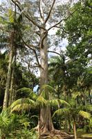 Besuch im Park Terra Nostra