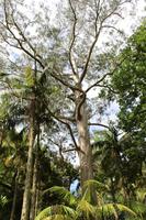 Besuch im Park Terra Nostra