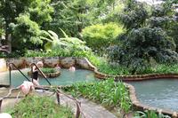 Besuch im Park Terra Nostra