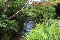 Besuch im Park Terra Nostra