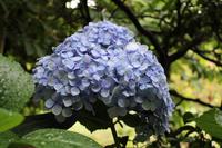 Park bei der Likörfabrik