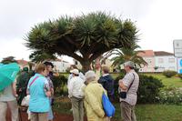Spaziergang durch den Botanischen Garten in Ponta Delgada