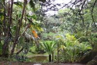 Spaziergang durch den Botanischen Garten in Ponta Delgada