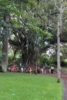 Spaziergang durch den Botanischen Garten in Ponta Delgada