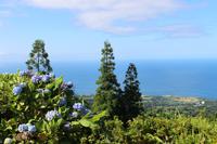Blick auf das Meer an der Nordküste von Ponta Delgada
