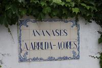 Ananas-Plantage bei Ponta Delgada