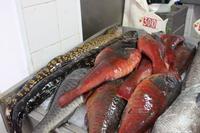 Fischmarkt in Angra do Heroismo