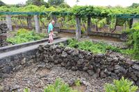 Weinprobe in Biscoitos