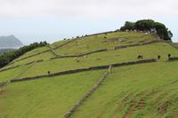 Landschaft im Hochland von Terceira