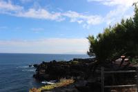 Blick über die Nordküste von Pico
