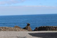 Hundekopf-Felsen in Cachorro