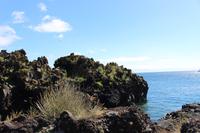 Kleine Bucht auf Pico