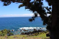 Spaziergang in Sao Joao