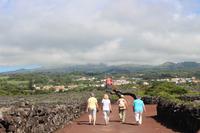 Spaziergang im Weinanbaugebiet