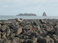 117-Pico_Madalena