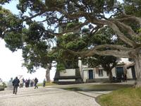 008-Sao_Miguel-Ribeira_Grande