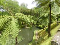 042-Sao_Miguel-Terra_Nostra