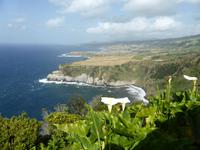 046-Sao_Miguel-Miradouro_Santa_Iria