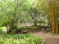 056-Sao_Miguel- Ponta_Delgada