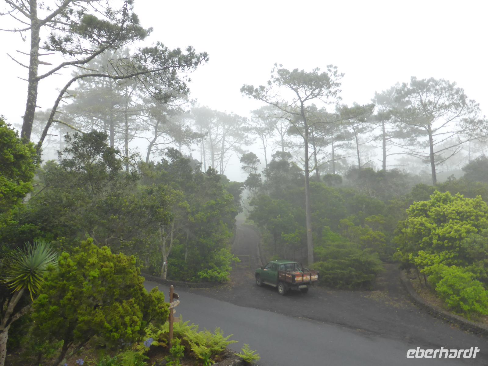 104-Faial_Rural_House