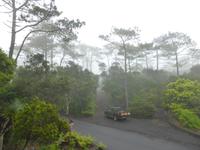 104-Faial_Rural_House