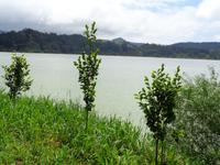 Sao Miguel, Lagoa das Furnas
