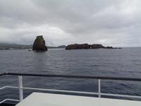 Faia - Picol, der Stehende und der Liegende