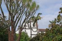 Vila Franca do Campo