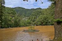 Thermalbecken Park Terra Nostra