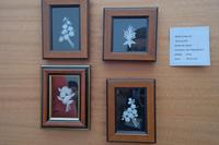 Ethnografisches Museum 