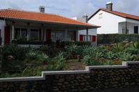 ein Traum von Garten :-)