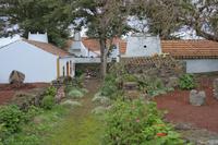 Weinmuseum Adega Brum