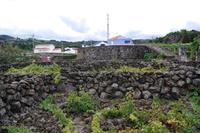 Weinmuseum Adega Brum