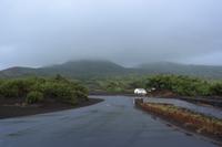 Ponta dos Capelinhos