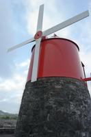 Windrad in den Weingärten