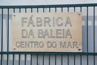 Walfangmuseum in Horta