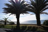 Sonne pur auf Sao Miguel