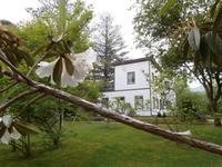 Sao Miguel - Park Terra Nostra