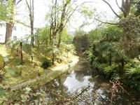 Sao Miguel - Park Terra Nostra