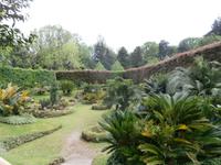Sao Miguel - Park Terra Nostra