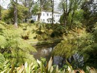 Sao Miguel - Park Terra Nostra