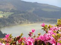Lagoa das Furnas Azoren