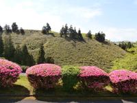 Lagoa das Furnas Azoren