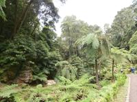 Geodiversidade da Caldeira Velha