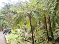 Geodiversidade da Caldeira Velha