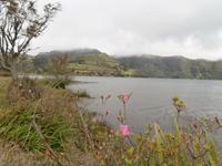 Sete Cidades Lagoa Azul